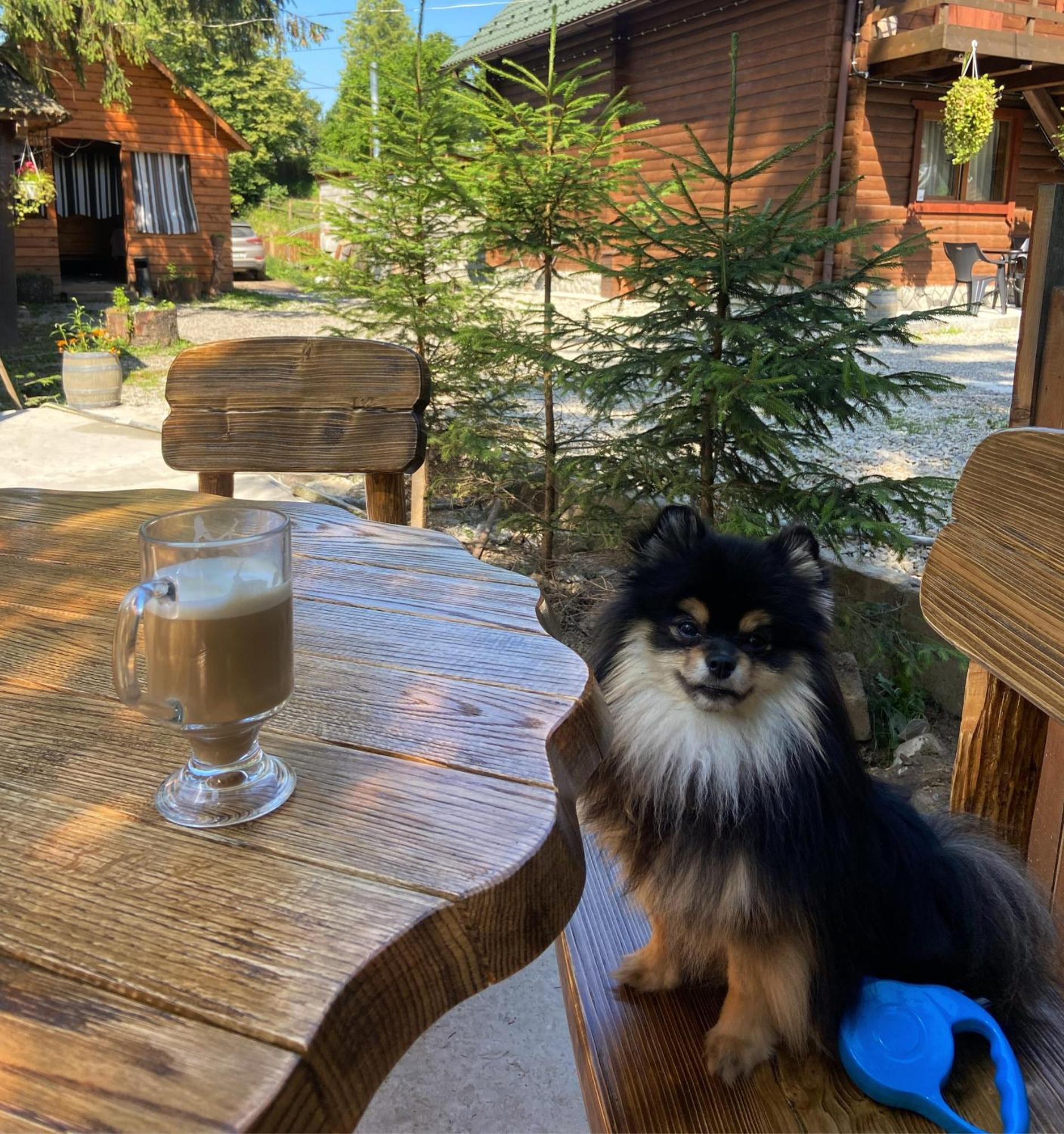 Hotel Водограй à Vorokhta Extérieur photo