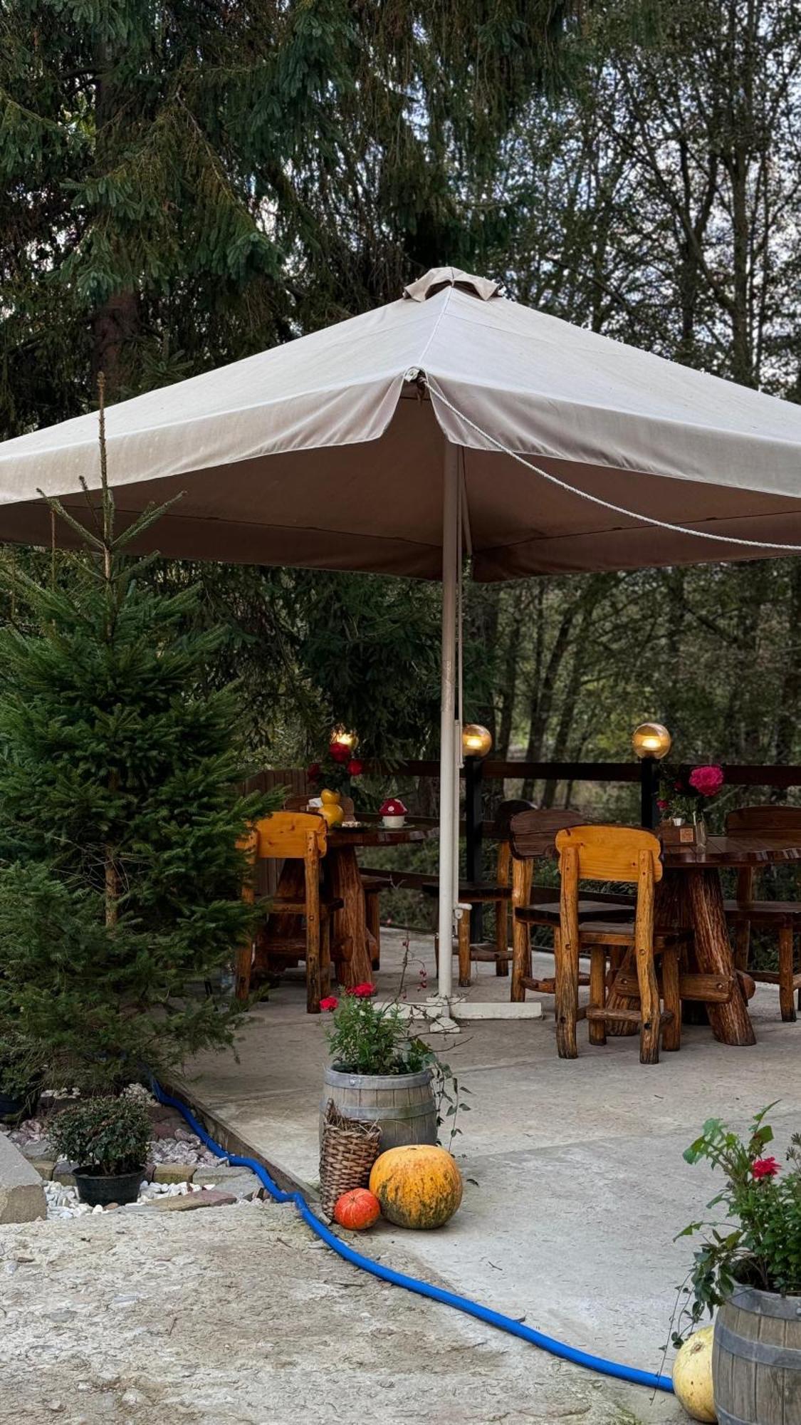Hotel Водограй à Vorokhta Extérieur photo