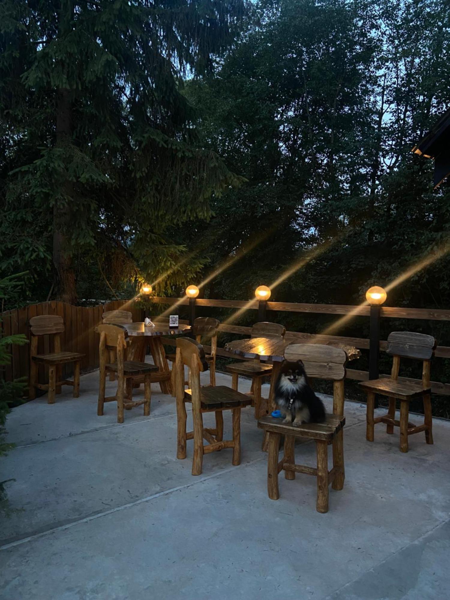 Hotel Водограй à Vorokhta Extérieur photo
