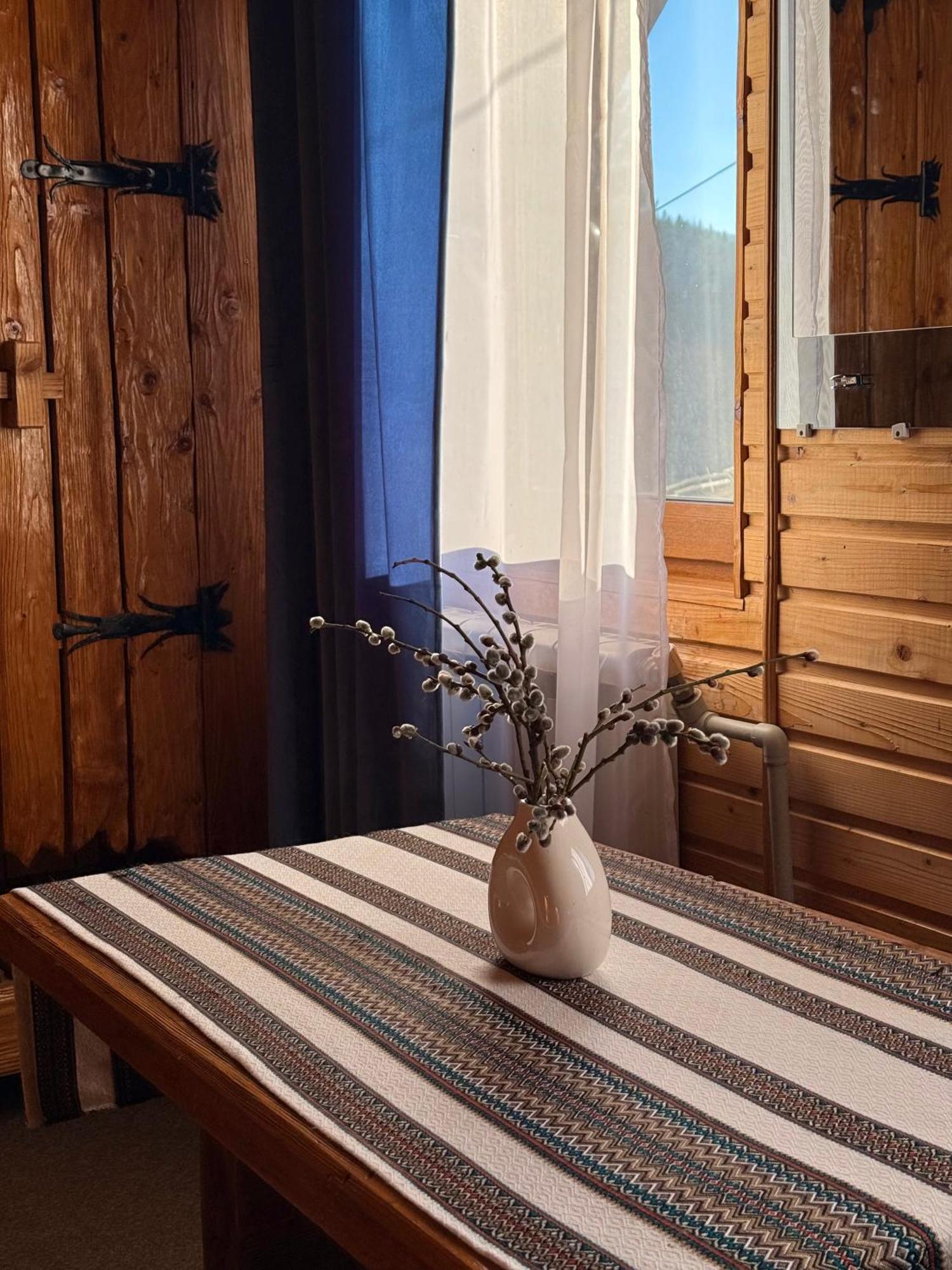 Hotel Водограй à Vorokhta Extérieur photo